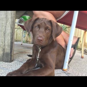 Meet your Posher, Christina